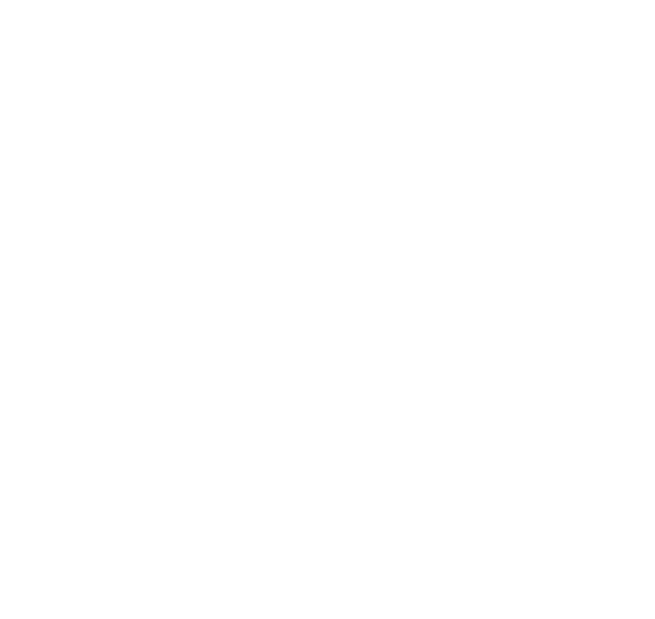 HS logo