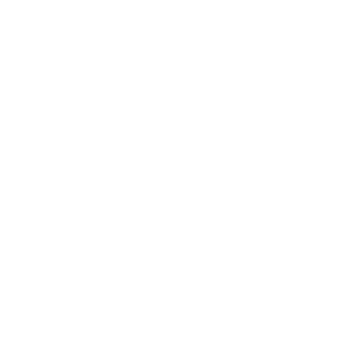 HS logo